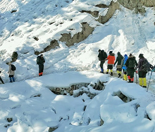 Fairy Meadows